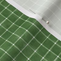Woodland Green Window pane Check Gingham - Ditsy Scale - Christmas Green Forest Green