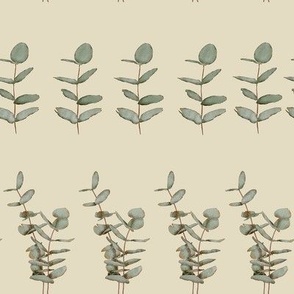 Eucalyptus leaves stripe 8 in