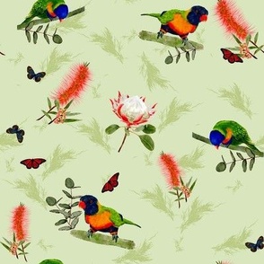 Lively lorikeets 8in