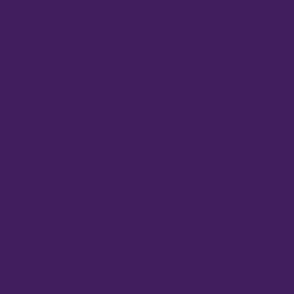 Violet dark purple solid - spooky treats boho