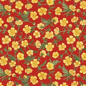  Yellow buttercups trailing floral watercolor pattern on bright poppy red