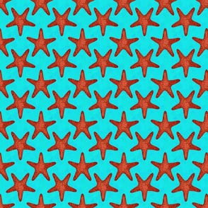 Realistic Starfish on Turquoise Background Small Scale