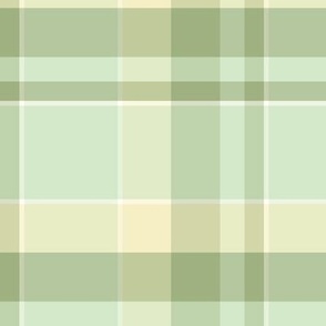 Spring pastel plaid green and yellow gender neutral for children