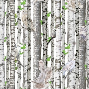 Owls in the Birches