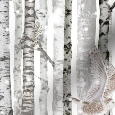 Owls in the Snowy Birches