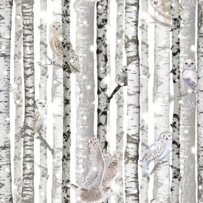 Owls in the Snowy Birches