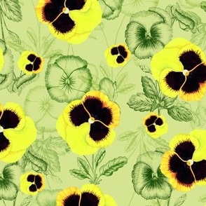 Yellow  Watercolor Pansies | Hand Painted  Floral Pattern Green