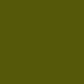 Dark Olive Green #555809 Solid