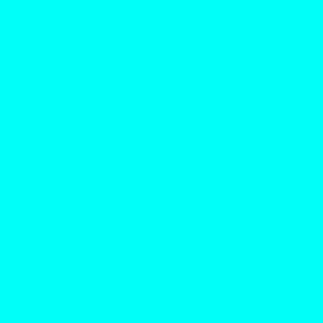 Turquoise Blue #00fff8 Solid