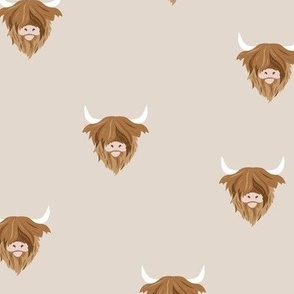 Highland cows - scottish wild hairy cattle longhorn cow on sand tan beige