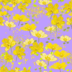 CT2465 Yellow  Buttercup Floral on Violet Background