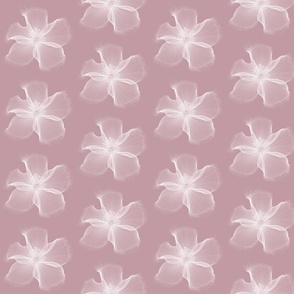 Soft White Flowers on Pink
