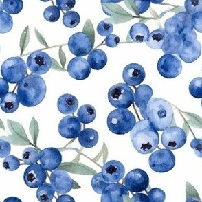 blueberries - purple 