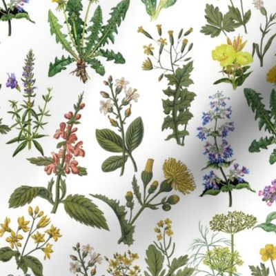 14" antique hand painted herbs pharmaceutic and medicinal plants on white background-for home decor Baby Girl  and  nursery fabric perfect for kidsroom wallpaper,kids room