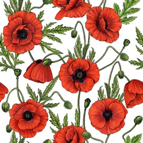 Red Poppy Flower Patch Remember Peace Military Embroidered Iron On