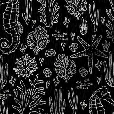 medium// Coral Reef Wedding Seahorses Starfishes Black Background