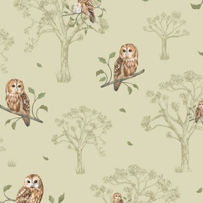 Tawny Owls (Green)