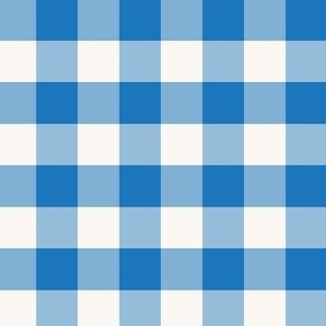 small 1.5x1.5in gingham - blue