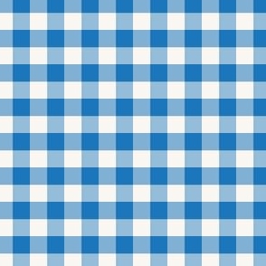 mini .75x.75 gingham - blue