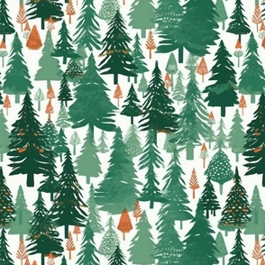 evergreen trees in the forest