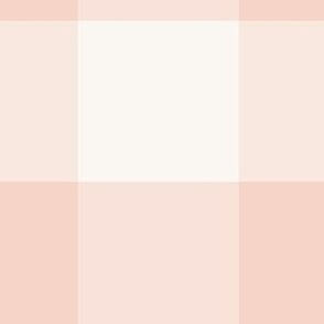 large 6x6in gingham - peachy pink