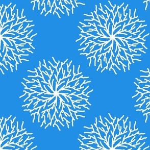 Coral - Blue
