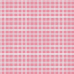 Pink Gingham Plaid / Cactus Collection
