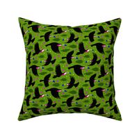 colorful flying toucan birds on grass green | small
