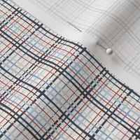 Beary Gingham - Blue and Red