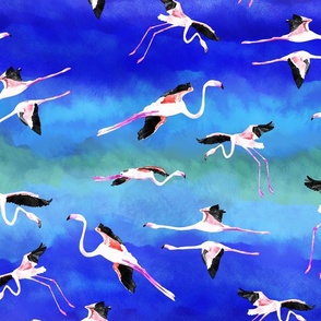 flying flamingos 