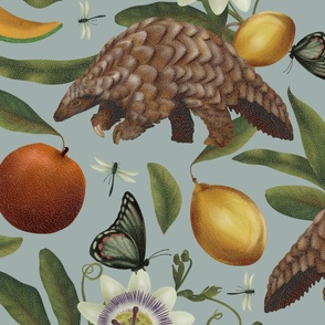 Dusty Blue fruity Pangolin and Butterfly Botanical
