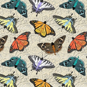 Surreal BUTTerflies 12x12