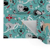 medium print // Veterinary Greyhounds dogs  x-ray, bandage, band aid, sick dog, dog in cone