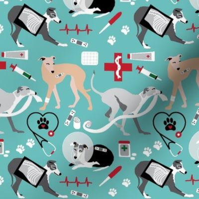 medium print // Veterinary Greyhounds dogs  x-ray, bandage, band aid, sick dog, dog in cone