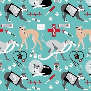 medium print // Veterinary Greyhounds dogs  x-ray, bandage, band aid, sick dog, dog in cone