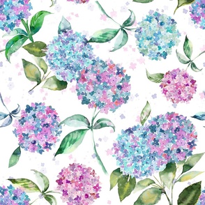 Hydrangea romantic floral Spring watercolor floral Pink blue green White Medium