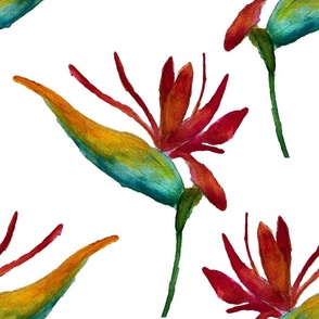 Bird of Paradise Flowers / Orange White Teal Green / Watercolor