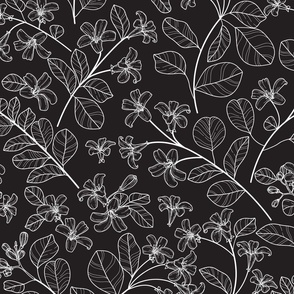 jasmine_black_pattern_2