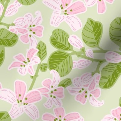 jasmine_pink_patterns_2