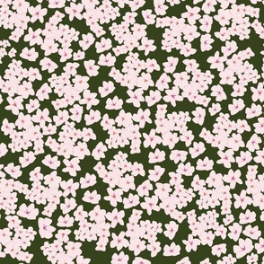 Cherry Blossoms - on Green