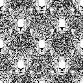 Pattern with leopard head.