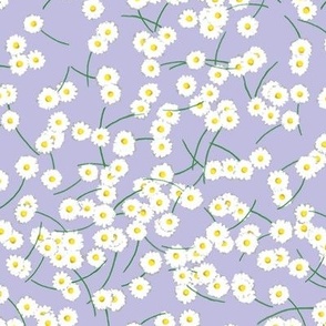 Dainty Daisies on Lilac