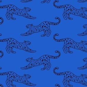 small// Leopard Stretching Drawing bright blue