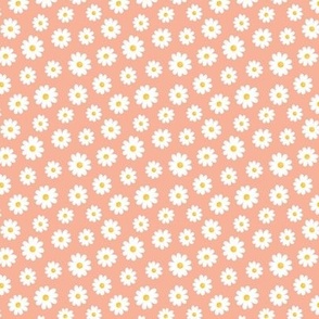 White Daisy Flowers without outline on peach - tiny scale