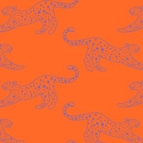 small// Leopard Stretching Drawing Orange and violet