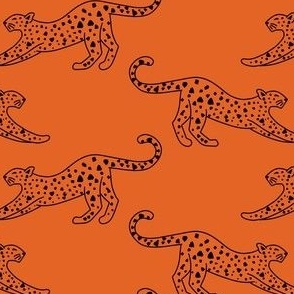 small// Leopard Stretching Drawing Orange