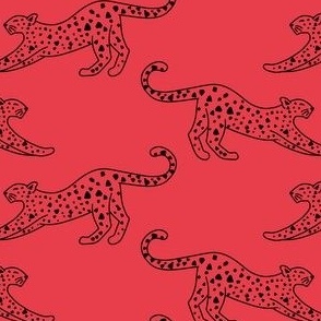 small// Leopard Stretching Drawing Strawberry red