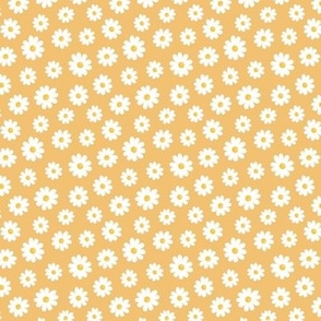 White Daisy Flowers without outline on apricot - tiny scale