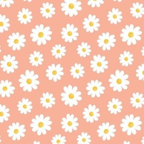 White Daisy Flowers without outline on peach - small scale
