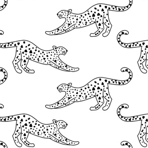 big// Leopard Stretching Drawing Black and White